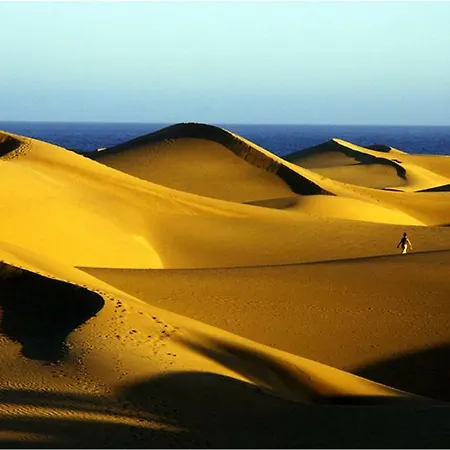 Bonito 106 By Casas Cocodrilo شقة