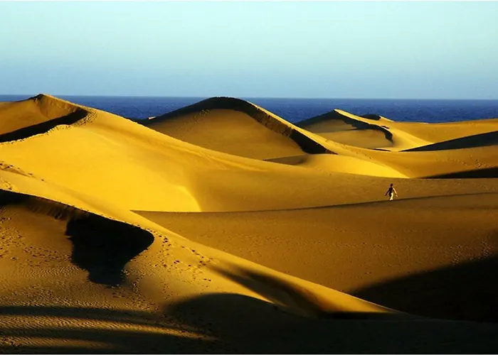 Bonito 106 By Casas Cocodrilo 아파트